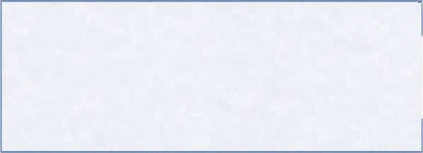 Check On Top Blank