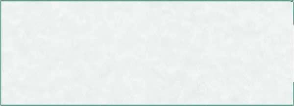 Check On Top Blank