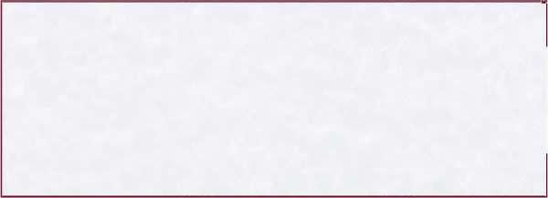 Check On Top Blank