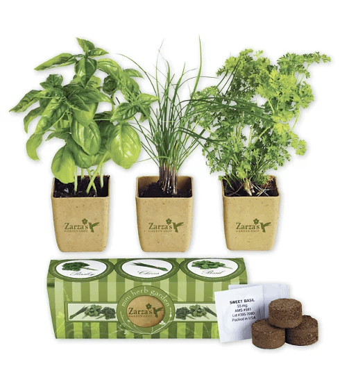 Branded Growpot Eco-Planter Herb 3-Pack