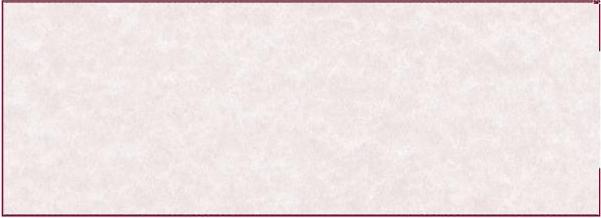 Check On Top Blank