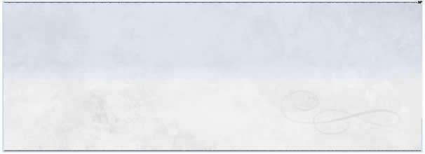 Check On Top Blank