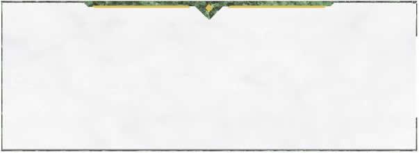 Check On Top Blank
