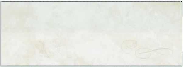 Check On Top Blank