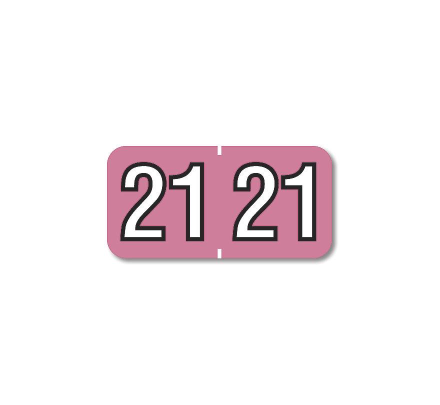 2021 Barkley End Tab Compatible Year Label Pink