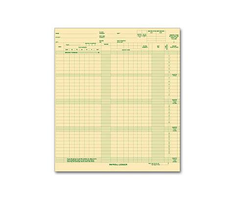 Expense/Payroll Ledger