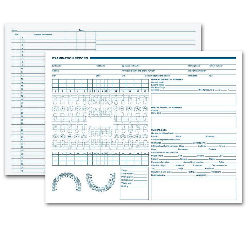 Dental Exam Record Anatomic Diagrams Horizontal Format
