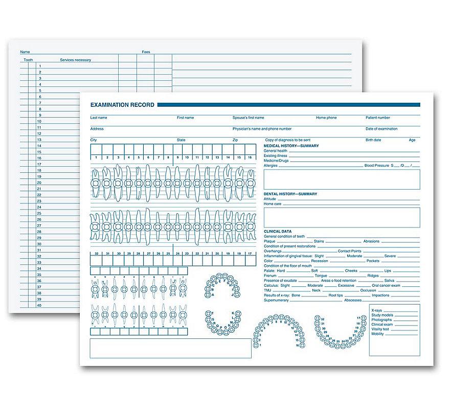 Dental Exam Record Primary Arch & Geometric Diagrams