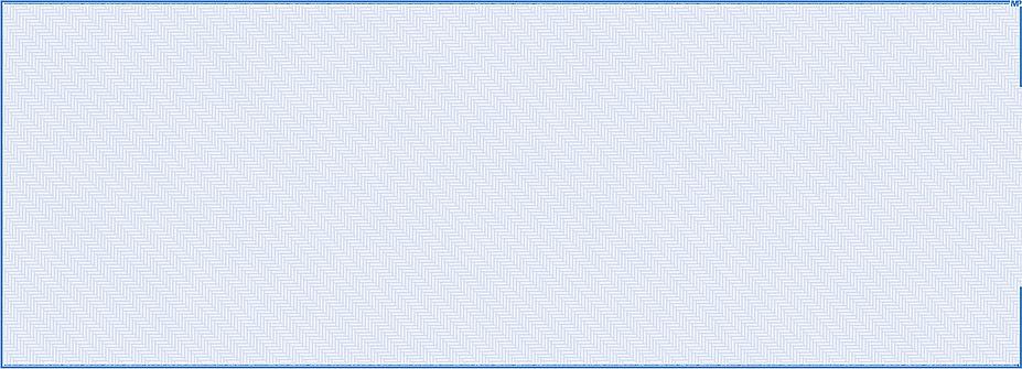 Blank Computer Checks