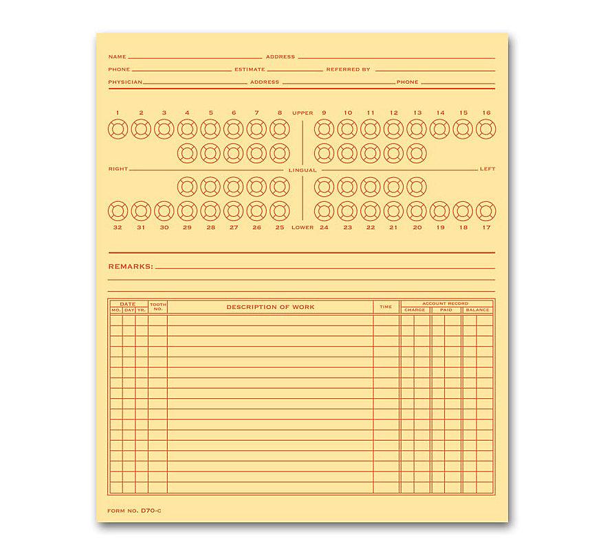 Dental Exam Record Numbered Teeth System C Folder Style