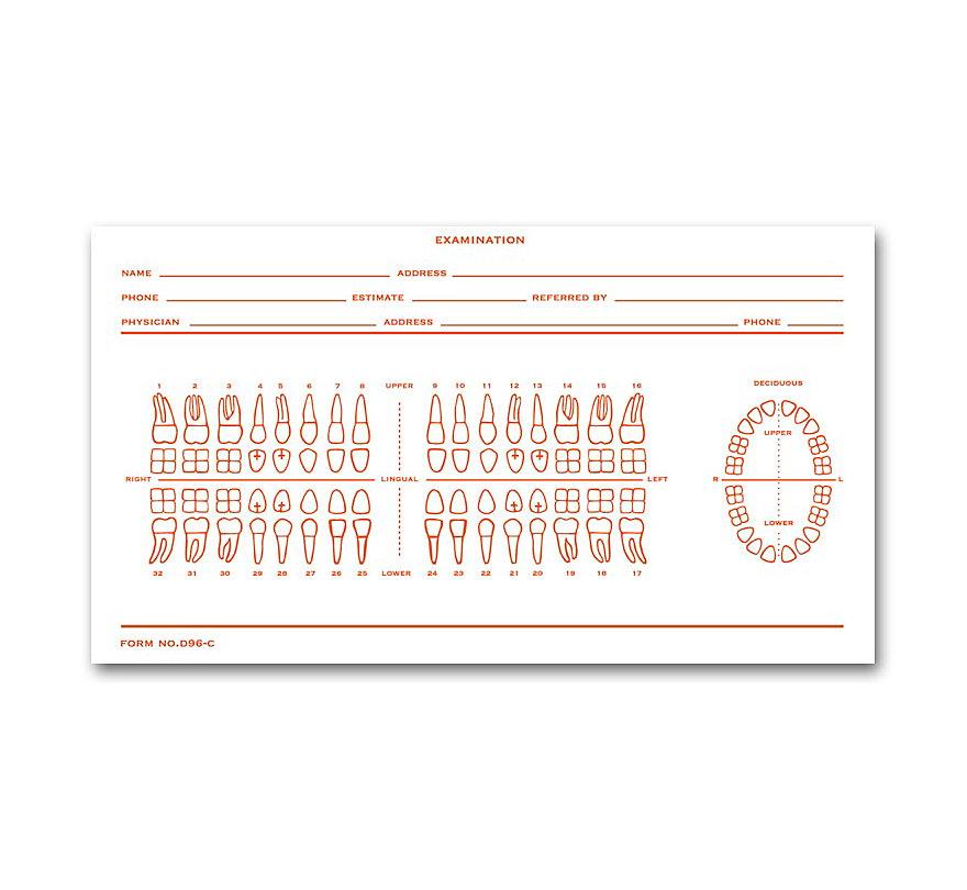 Dental Exam Record Slips Numbered Teeth System C - D86C