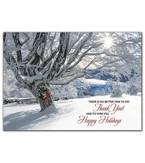 Striking Gratitude Holiday Cards