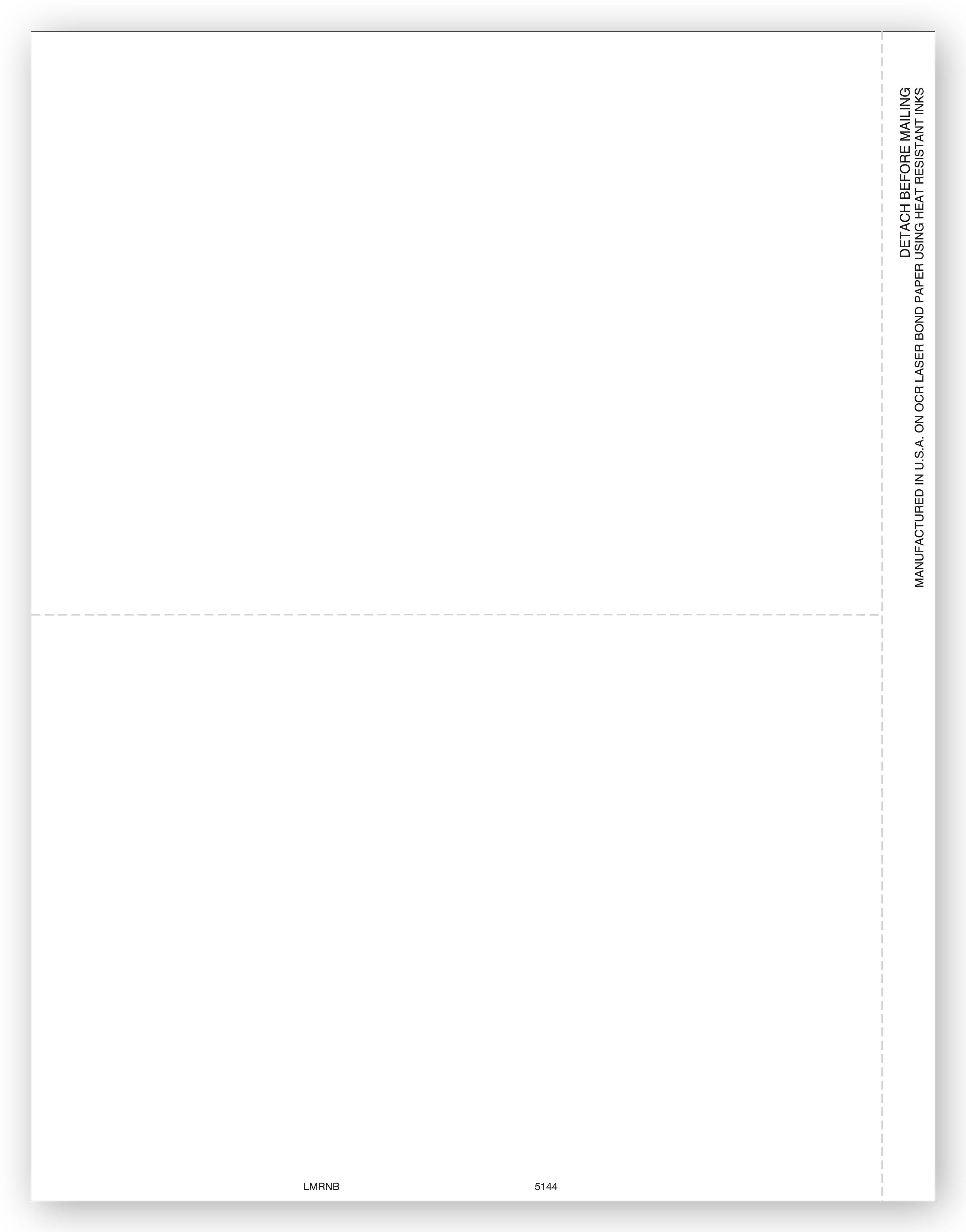 2 Up Blank Laser 1099, Bulk
