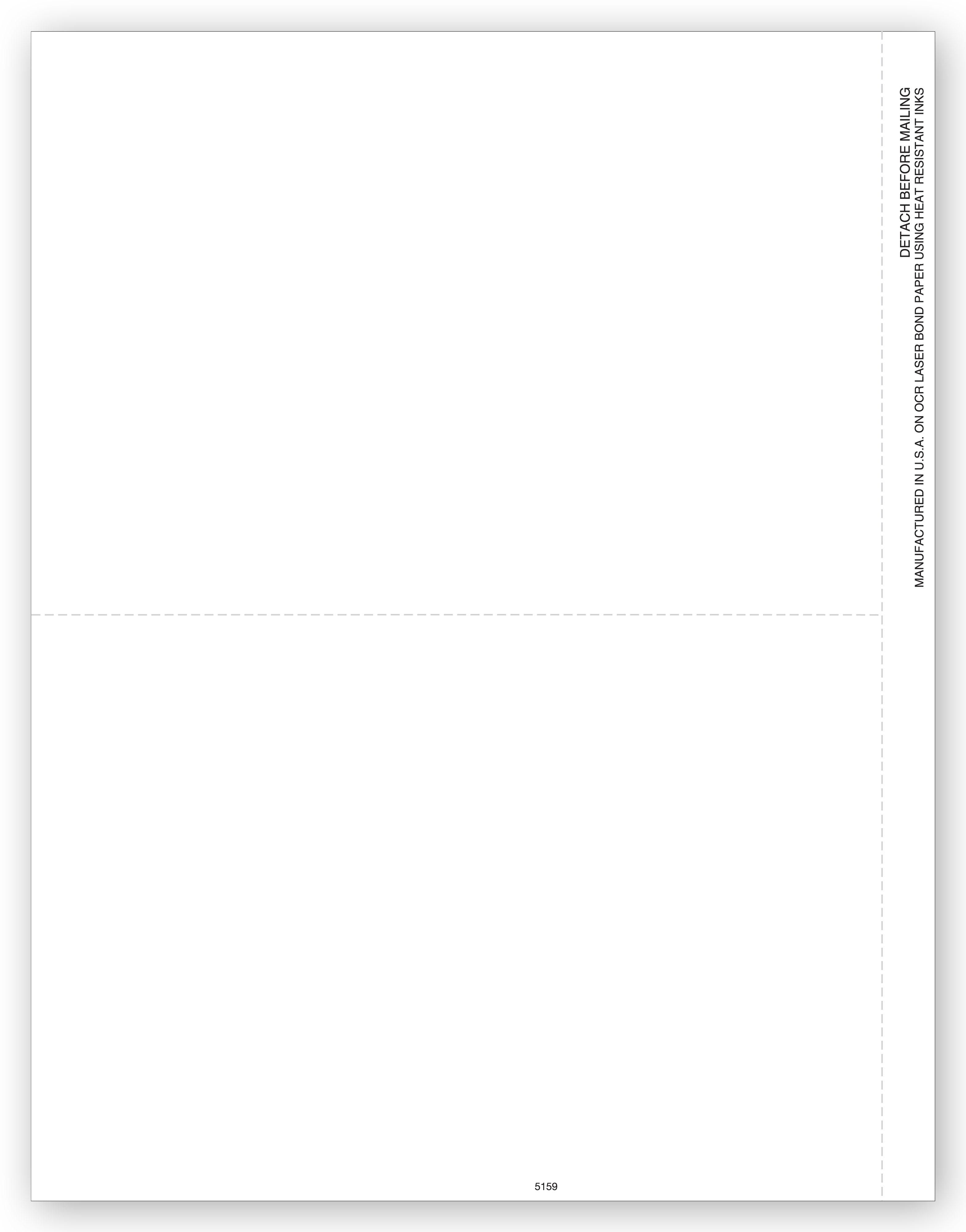 2 Up Blank Laser 1099 MISC Income w Copy B Backer, Bulk