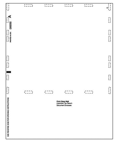 Laser 1099 MISC Income, Blank, Pressure Seal