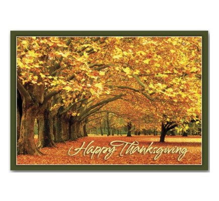 Canopy of Gold Thanksgiving Cards 