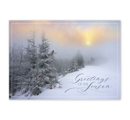 Fantastic Flurries Holiday Cards 