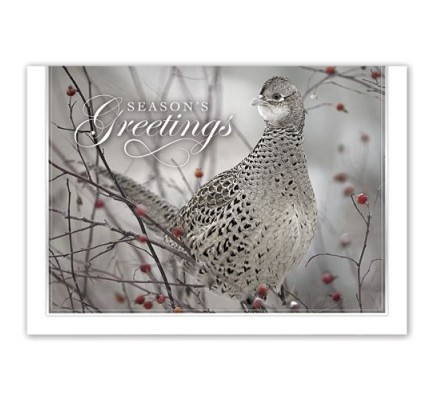 Feathered Friend Holiday Cards 