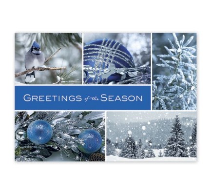 Icy Blue Wonder Holiday Cards 