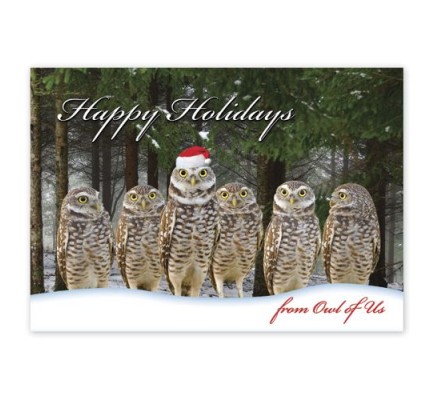 Owl of Us Christmas Cards 