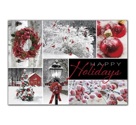 Seasonal Showcase Holiday Cards 