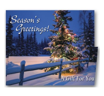Splendorous Gift Christmas Coupon Cards 