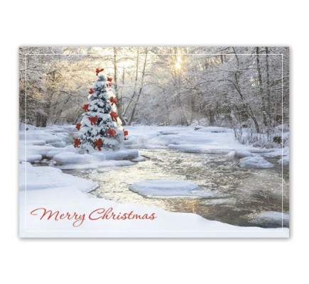 Tranquil Christmas Cards 