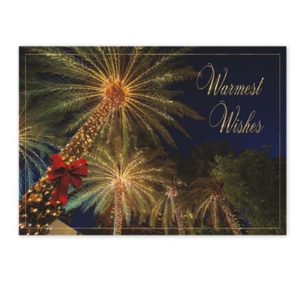 Tropical Wishes Holiday Cards 