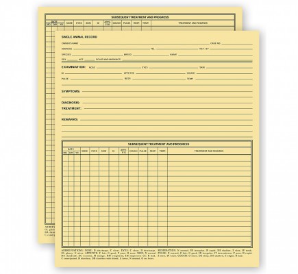 Vet Animal Exam Records Without Account Record Card File 