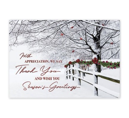 Winter Wishes Holiday Cards 