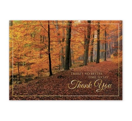 Woodland Gratitude Thanksgiving Cards 
