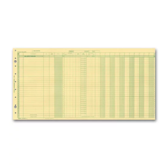 Payroll/Expense Journal Sheets