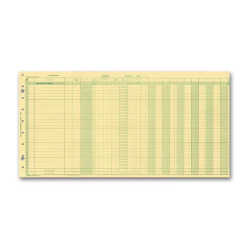 Payroll/Expense Journal Sheets 
