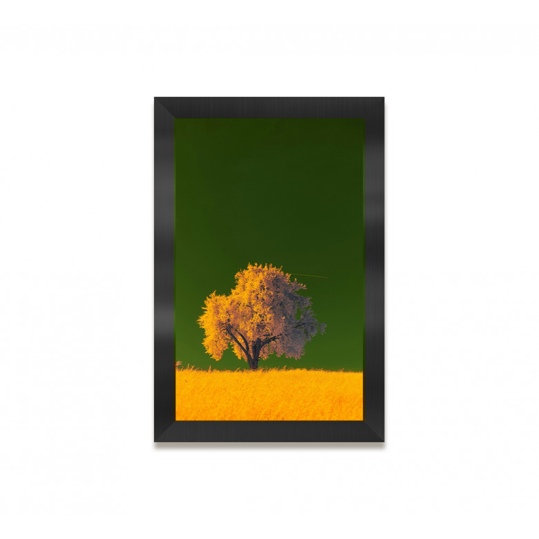 Clip Frames
