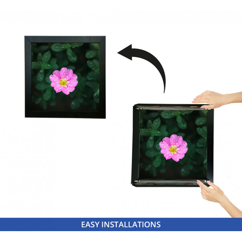 Clip Frames