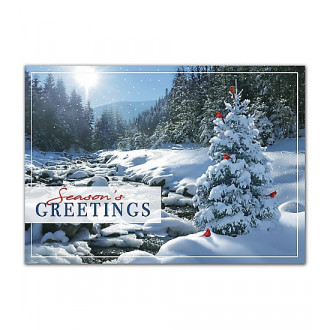 Sweet Seclusion Holiday Cards