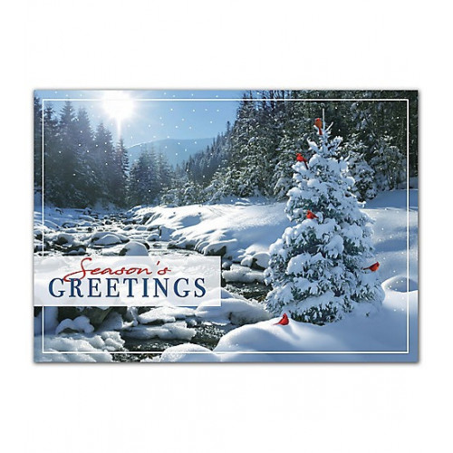 Sweet Seclusion Holiday Cards 