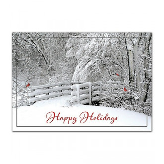 Fresh Air Holiday Cards