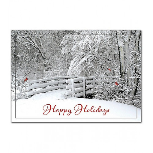 Fresh Air Holiday Cards 