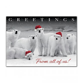 Polar Pack Holiday Cards