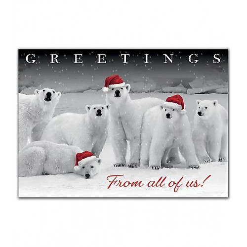 Polar Pack Holiday Cards 