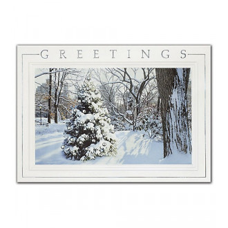 Hidden Treasure Holiday Cards