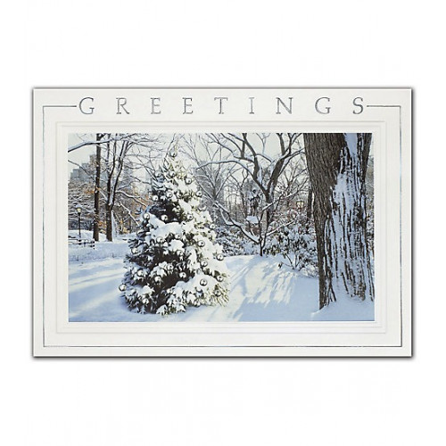 Hidden Treasure Holiday Cards Hidden Treasure Holiday Cards