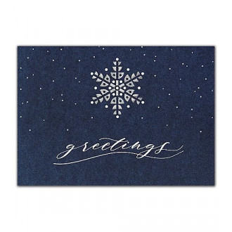 Starry Indigo Holiday Cards