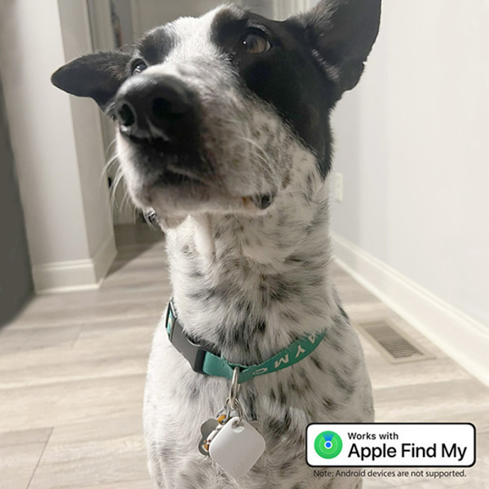 MFI Air Tracker with Find My