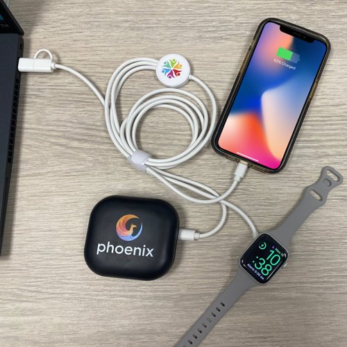 4 in 1 Charging Cable 4 in 1 Charging Cable