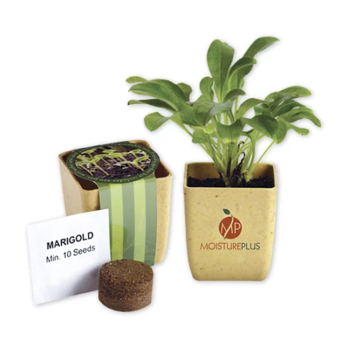 Professional Flower Pot Set With Marigold Seeds Professional Flower Pot Set With Marigold Seeds