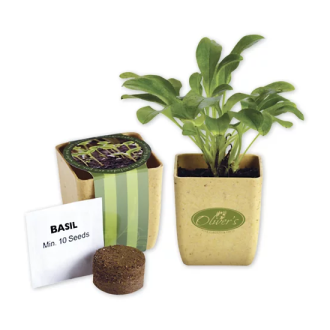 Branded Flower Pot Set With Basil Seeds