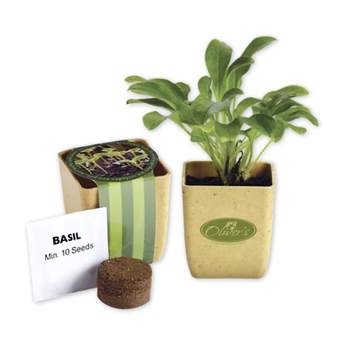 Branded Flower Pot Set With Basil Seeds 