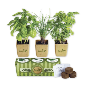 Branded Growpot Eco-Planter Herb 3-Pack